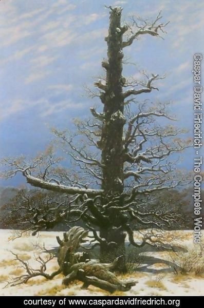 Caspar David Friedrich - Oak Tree in the Snow