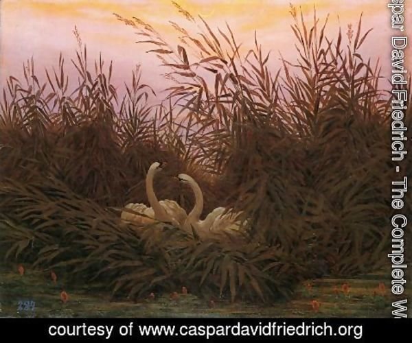 Caspar David Friedrich - Swans in the reed with first morning-red