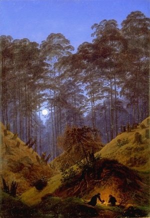 Inside the Forest under the moonlight