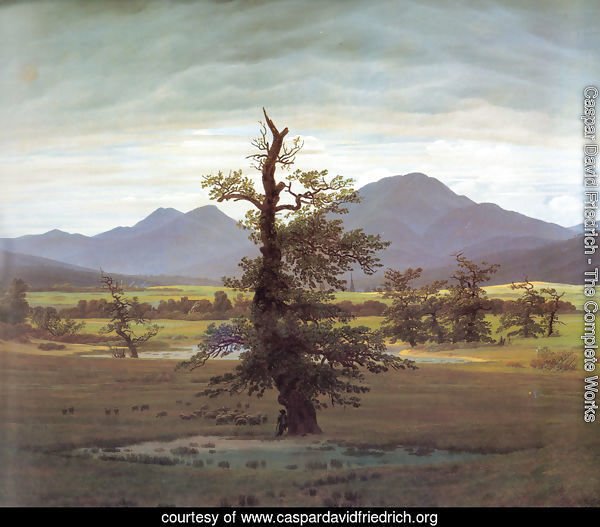 Landscape With Solitary Tree