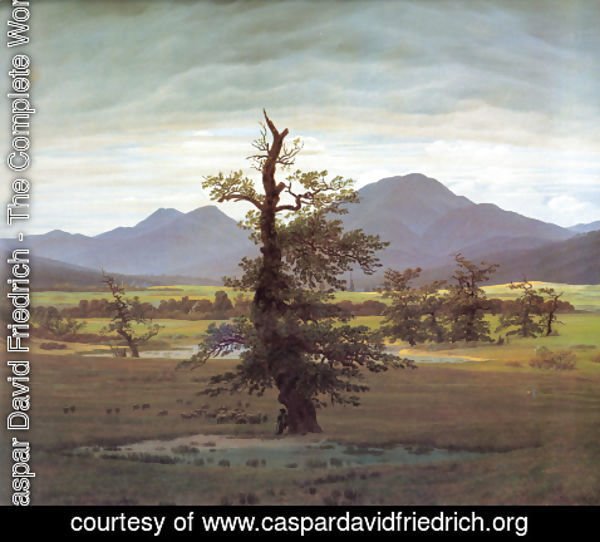 Caspar David Friedrich - Landscape With Solitary Tree